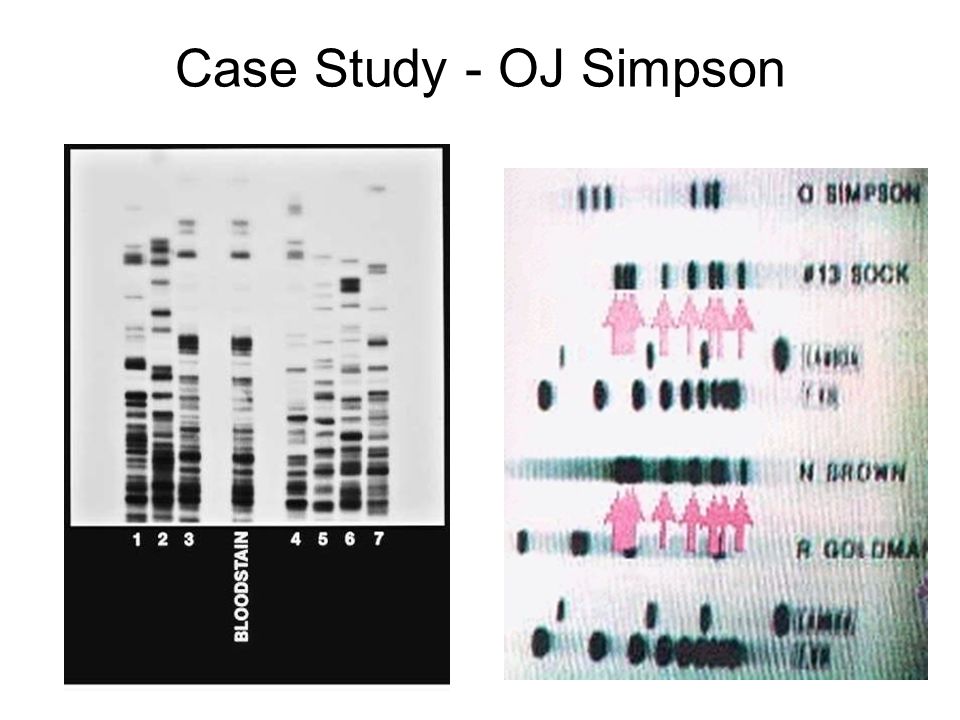 Case Study - OJ Simpson