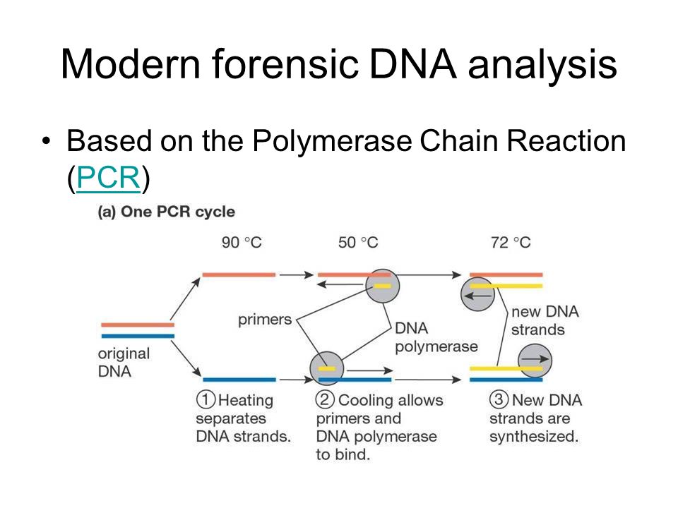 Modern forensic DNA analysis Based on the Polymerase Chain Reaction (PCR)PCR