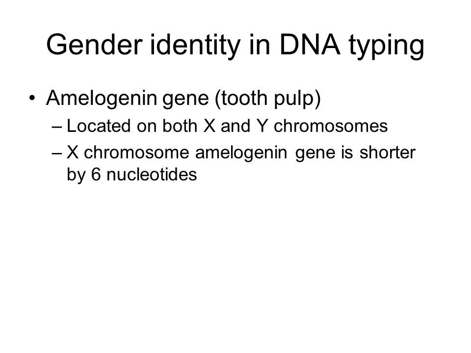 Gender identity in DNA typing Amelogenin gene (tooth pulp) –Located on both X and Y chromosomes –X chromosome amelogenin gene is shorter by 6 nucleotides