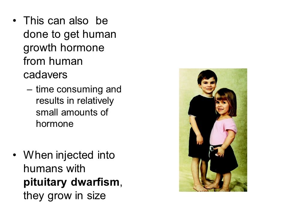 This can also be done to get human growth hormone from human cadavers –time consuming and results in relatively small amounts of hormone When injected into humans with pituitary dwarfism, they grow in size