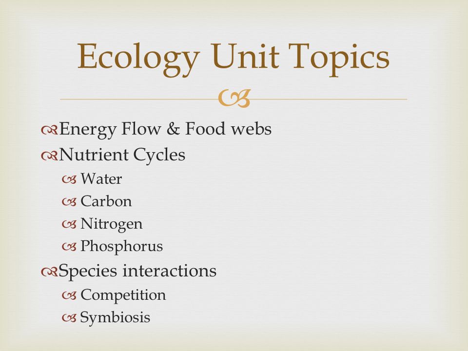 Printables Food Web Worksheet High School food chain web worksheets high school intrepidpath unit 4 ecology vocab remember to do a menu option 1 carbon worksheet for school