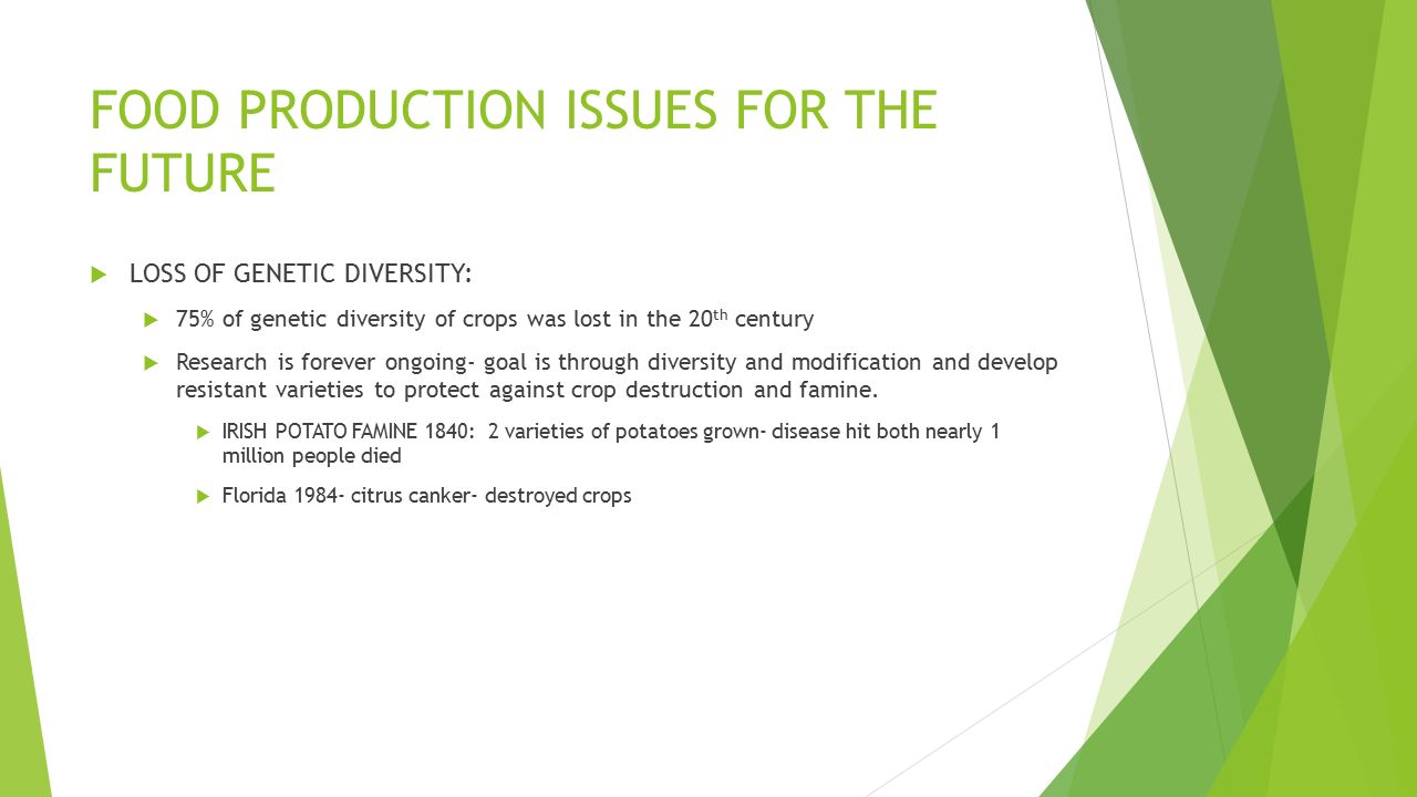 FOOD PRODUCTION ISSUES FOR THE FUTURE  LOSS OF GENETIC DIVERSITY:  75% of genetic diversity of crops was lost in the 20 th century  Research is forever ongoing- goal is through diversity and modification and develop resistant varieties to protect against crop destruction and famine.