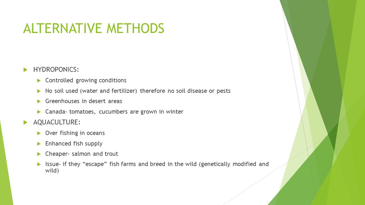ALTERNATIVE METHODS  HYDROPONICS:  Controlled growing conditions  No soil used (water and fertilizer) therefore no soil disease or pests  Greenhouses in desert areas  Canada- tomatoes, cucumbers are grown in winter  AQUACULTURE:  Over fishing in oceans  Enhanced fish supply  Cheaper- salmon and trout  Issue- if they escape fish farms and breed in the wild (genetically modified and wild)