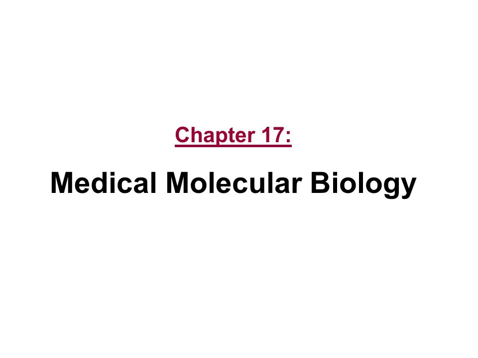 tips for writers national council of teachers of english cover molecular biology cover letter