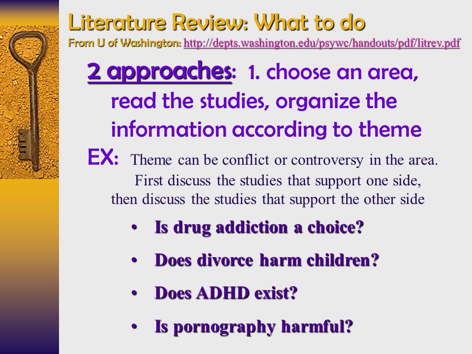 Literature Review Example Three