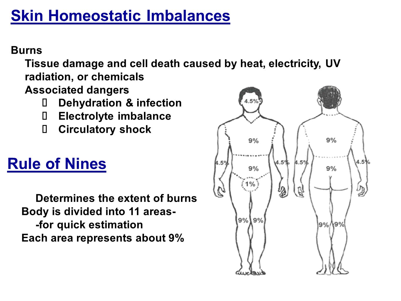 homeostasis imbalances Overview of acid-base balance - explore from the merck manuals - medical consumer version. homeostasis imbalances Overview of acid-base balance - explore from the merck manuals - medical consumer version.