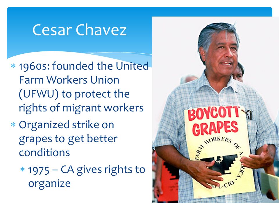  1960s: founded the United Farm Workers Union (UFWU) to protect the rights of migrant workers  Organized strike on grapes to get better conditions  1975 – CA gives rights to organize Cesar Chavez