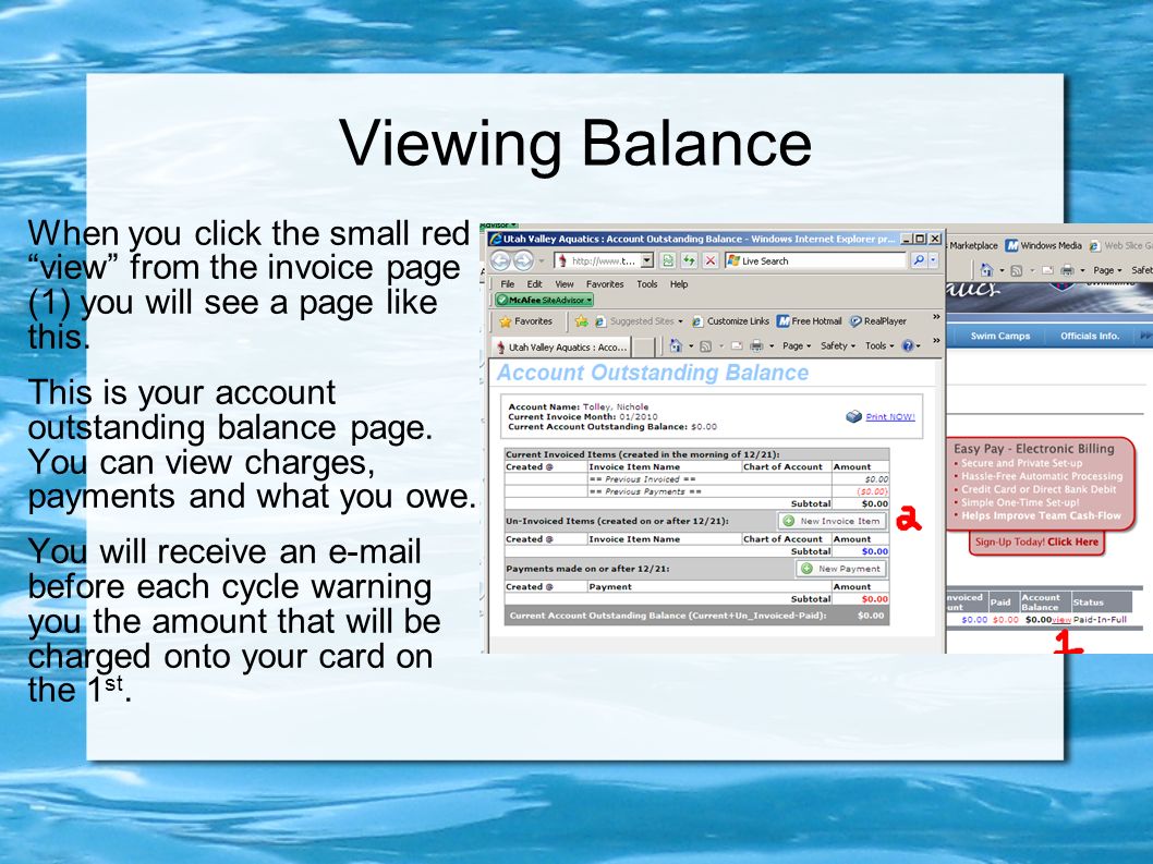 Viewing Balance When you click the small red view from the invoice page (1) you will see a page like this.