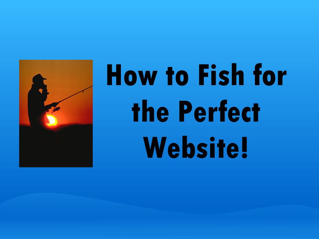 How to Fish for the Perfect Website!
