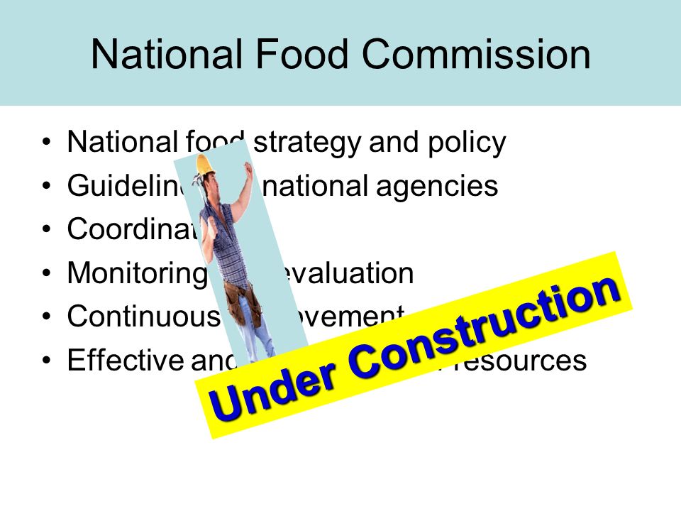 National Food Commission National food strategy and policy Guidelines for national agencies Coordination Monitoring and evaluation Continuous improvement Effective and efficient use of resources Under Construction