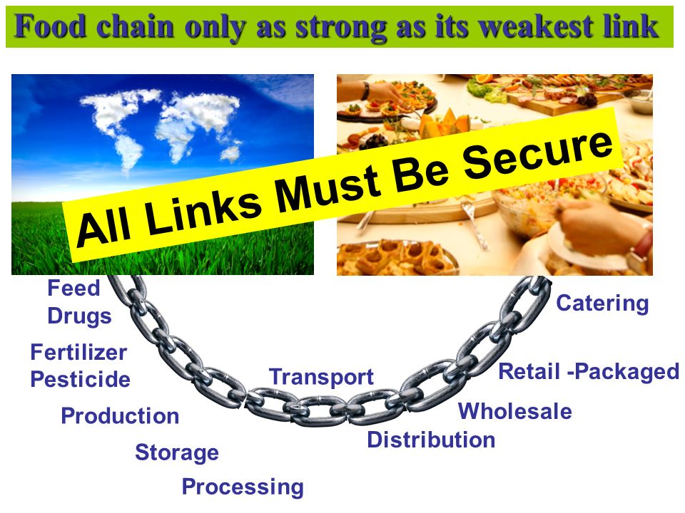Food chain only as strong as its weakest link Feed Drugs Fertilizer Pesticide Production Storage Processing Transport Distribution Wholesale Retail -Packaged Catering All Links Must Be Secure