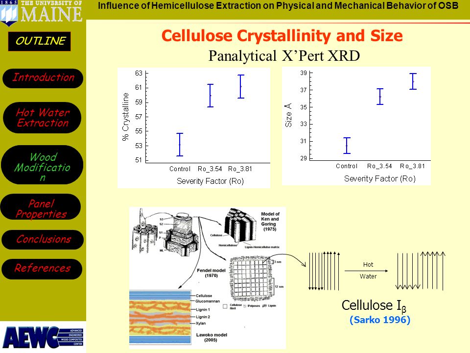 outline influence of hemicellulose extraction on physical and osb size