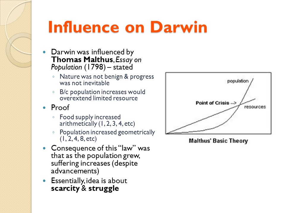 essays on social darwinism essays on social darwinism
