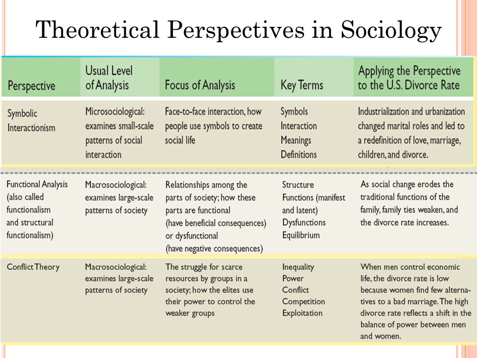 Sociology Essay Writing