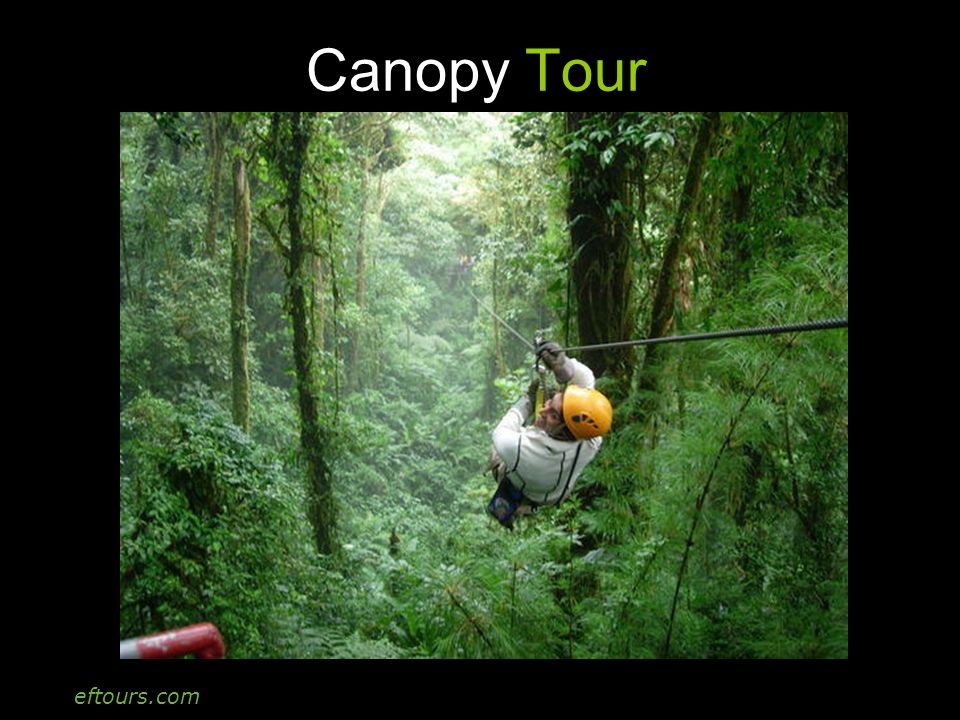 eftours.com Canopy Tour