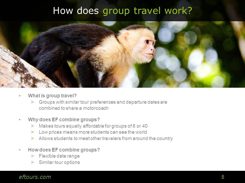eftours.com 5 How does group travel work. What is group travel.