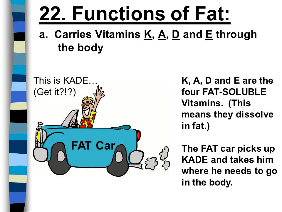 22. Functions of Fat: a.