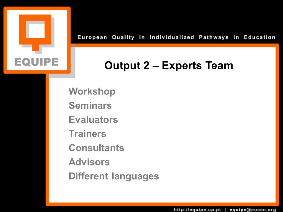 Workshop Seminars Evaluators Trainers Consultants Advisors Different languages Output 2 – Experts Team Experts team