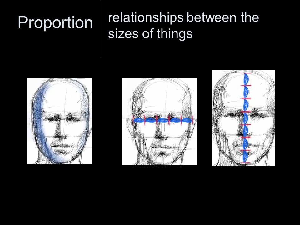 Proportion relationships between the sizes of things