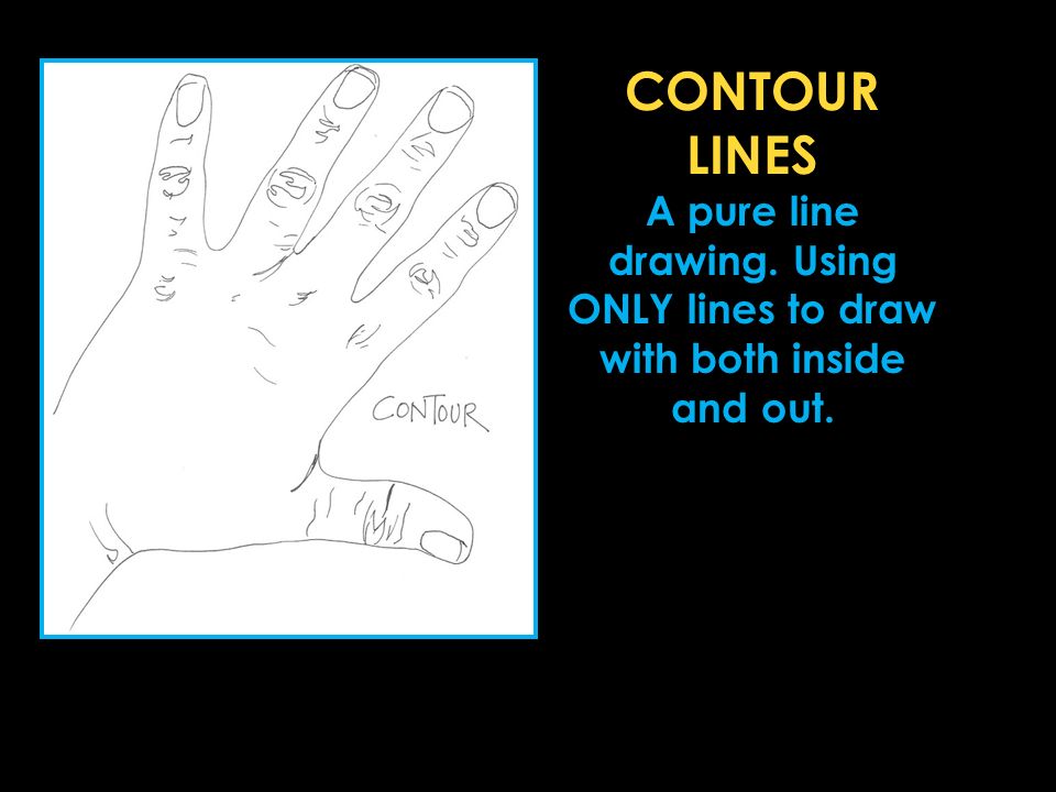 CONTOUR LINES A pure line drawing. Using ONLY lines to draw with both inside and out.