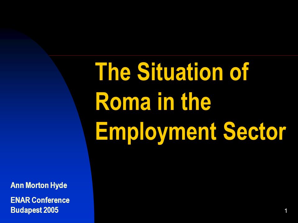 Ann Morton Hyde ENAR Conference Budapest The Situation of Roma in the Employment Sector
