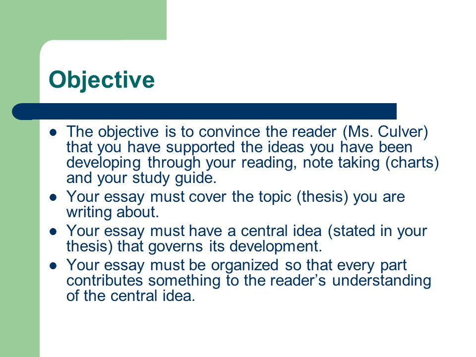 Poisonwood Bible Essay