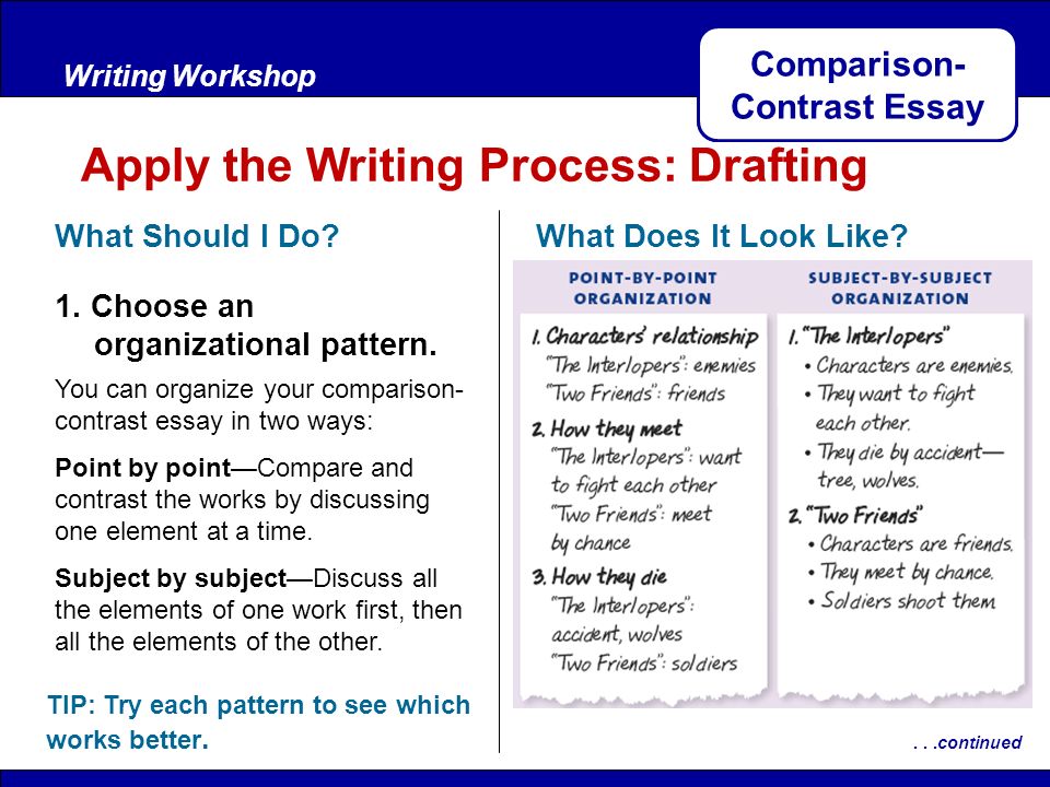 essay on organization