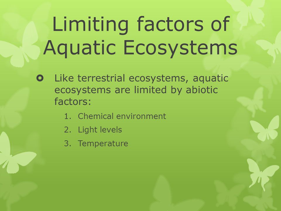 understanding nutrient interactions within simple ecosystem Populations and ecosystems unit map as a simple ecosystem case study understanding a food web diagram summative. understanding nutrient interactions within simple ecosystem Populations and ecosystems unit map as a simple ecosystem case study understanding a food web diagram summative.
