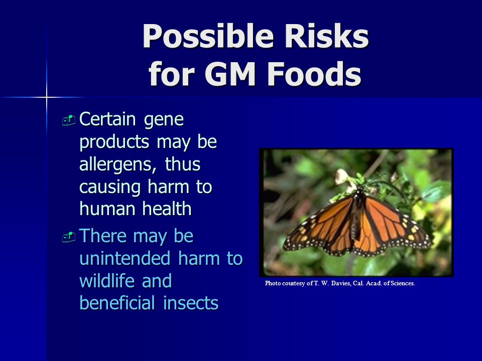 Possible Risks for GM Foods  Certain gene products may be allergens, thus causing harm to human health  There may be unintended harm to wildlife and beneficial insects Photo courtesy of T.
