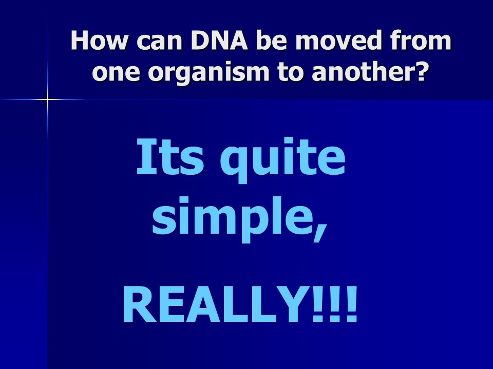 How can DNA be moved from one organism to another Its quite simple, REALLY!!!