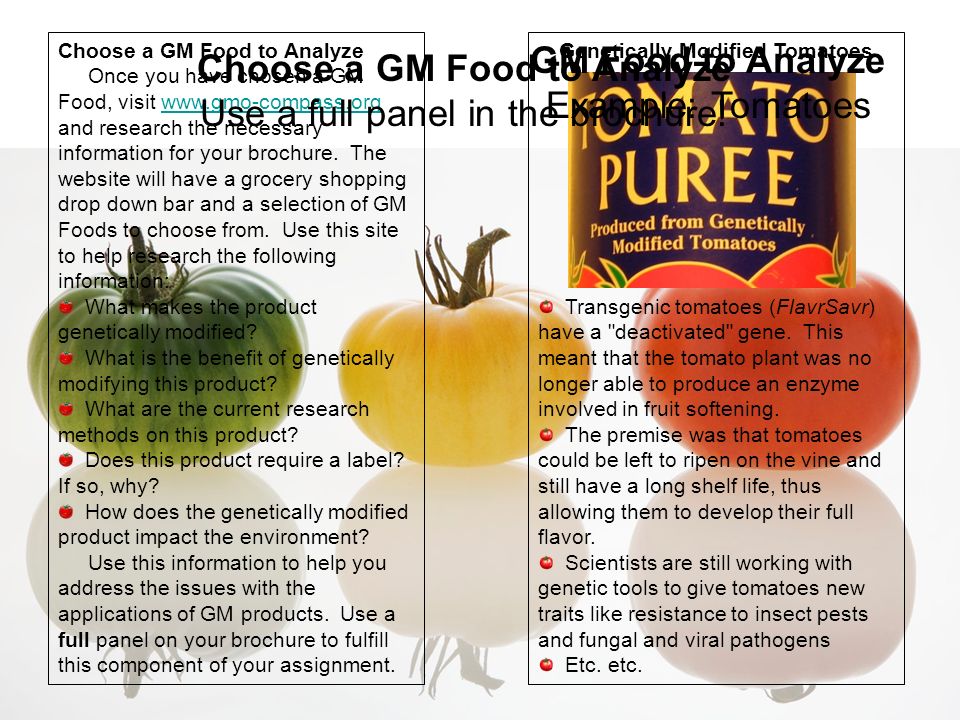 Choose a GM Food to Analyze Once you have chosen a GM Food, visit   and research the necessary information for your brochure.