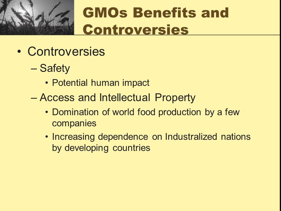 GMOs Benefits and Controversies Controversies –Safety Potential human impact –Access and Intellectual Property Domination of world food production by a few companies Increasing dependence on Industralized nations by developing countries