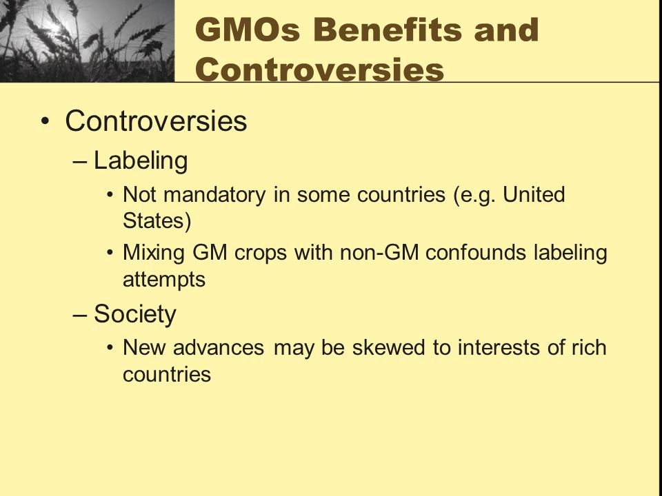 GMOs Benefits and Controversies Controversies –Labeling Not mandatory in some countries (e.g.