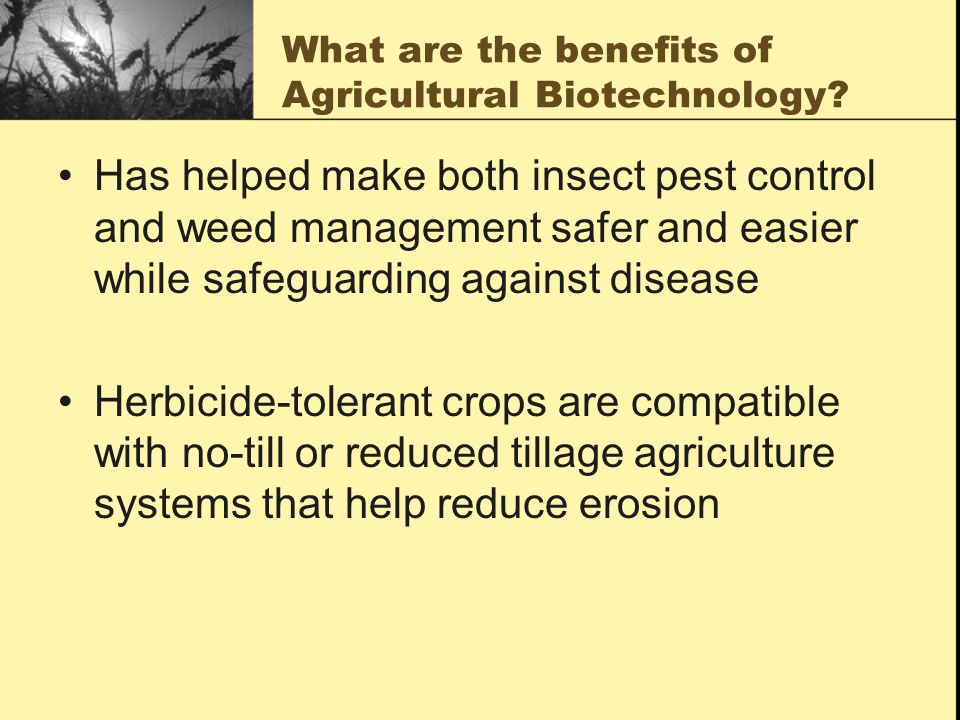 What are the benefits of Agricultural Biotechnology.