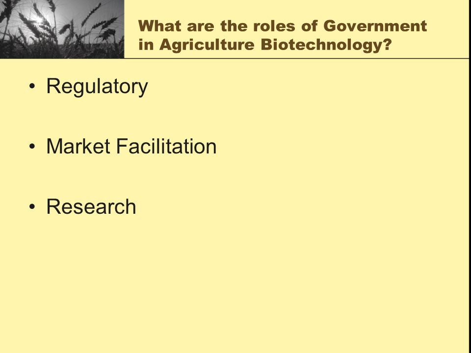 What are the roles of Government in Agriculture Biotechnology.