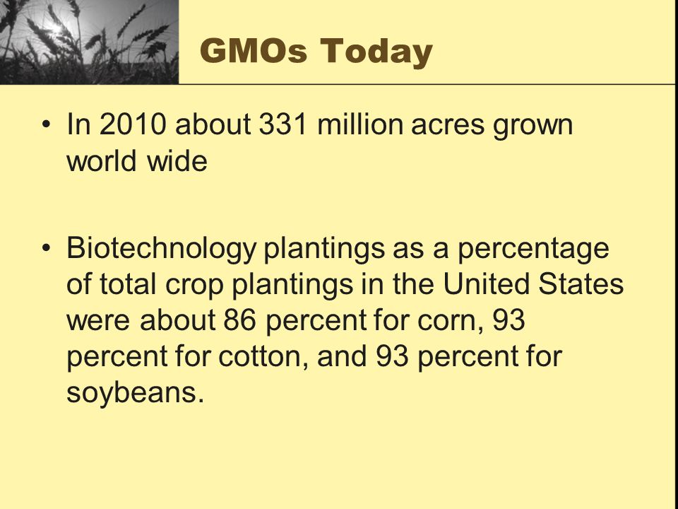 GMOs Today In 2010 about 331 million acres grown world wide Biotechnology plantings as a percentage of total crop plantings in the United States were about 86 percent for corn, 93 percent for cotton, and 93 percent for soybeans.