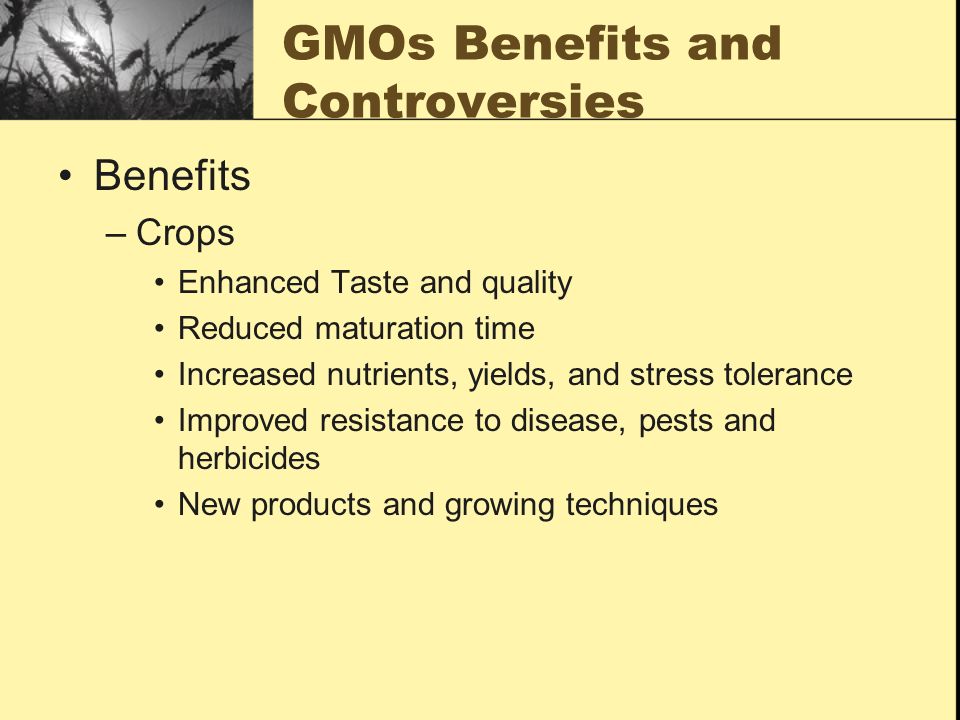 GMOs Benefits and Controversies Benefits –Crops Enhanced Taste and quality Reduced maturation time Increased nutrients, yields, and stress tolerance Improved resistance to disease, pests and herbicides New products and growing techniques