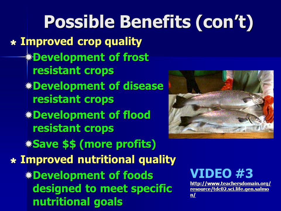 Possible Benefits (con’t)  Improved crop quality  Development of frost resistant crops  Development of disease resistant crops  Development of flood resistant crops  Save $$ (more profits)  Improved nutritional quality  Development of foods designed to meet specific nutritional goals VIDEO #3   resource/tdc02.sci.life.gen.salmo n/