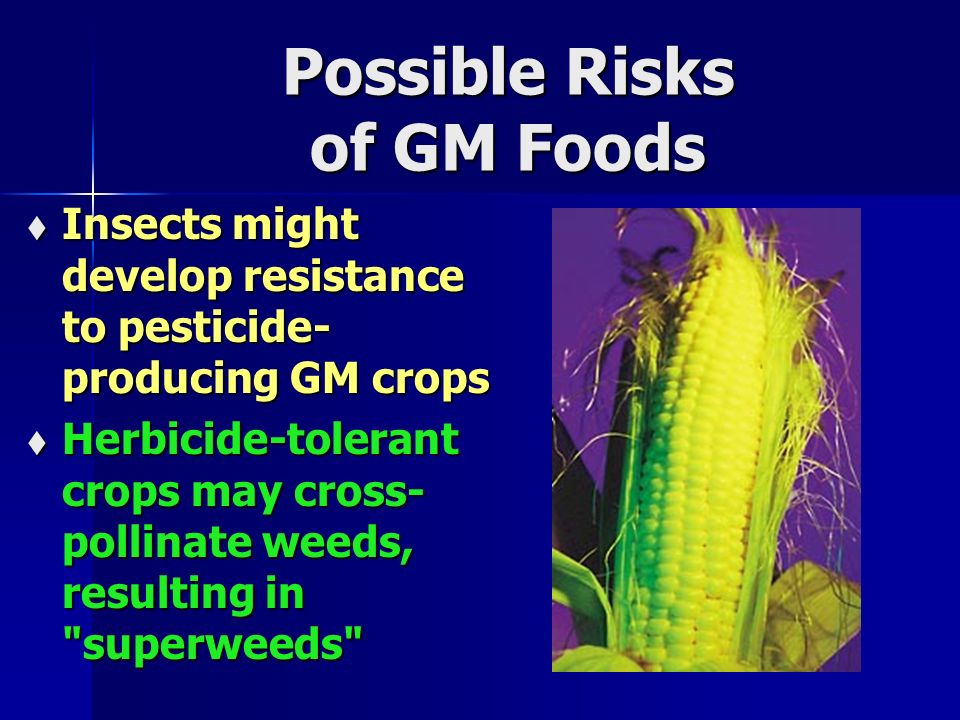 Possible Risks of GM Foods  Insects might develop resistance to pesticide- producing GM crops  Herbicide-tolerant crops may cross- pollinate weeds, resulting in superweeds