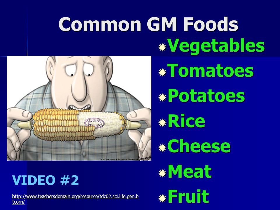 Common GM Foods  Vegetables  Tomatoes  Potatoes  Rice  Cheese  Meat  Fruit VIDEO #2   tcorn/