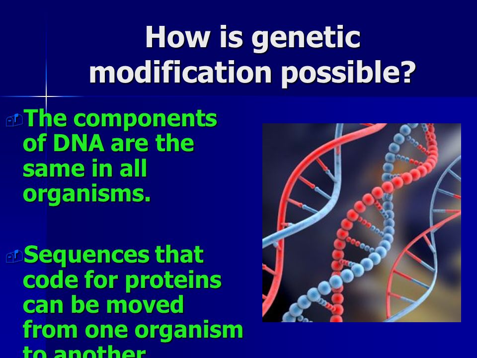 How is genetic modification possible.  The components of DNA are the same in all organisms.