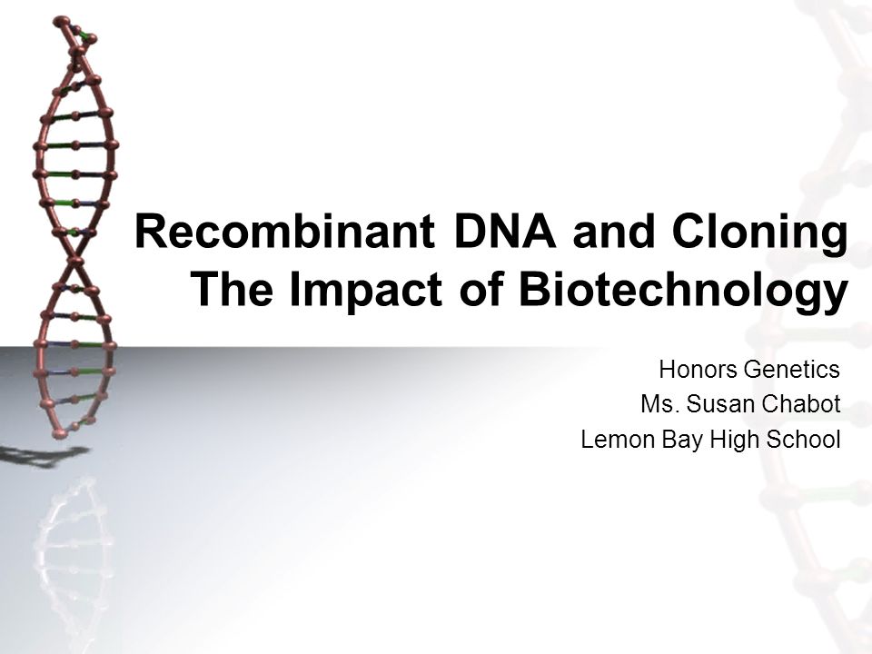 Recombinant DNA and Cloning The Impact of Biotechnology Honors Genetics Ms.