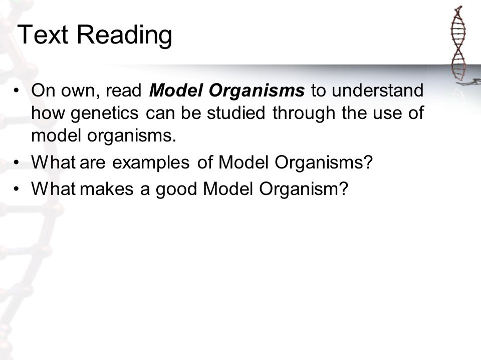 Text Reading On own, read Model Organisms to understand how genetics can be studied through the use of model organisms.