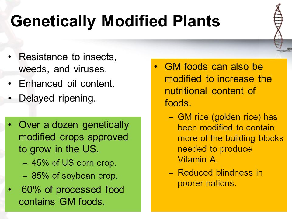 Genetically Modified Plants Resistance to insects, weeds, and viruses.