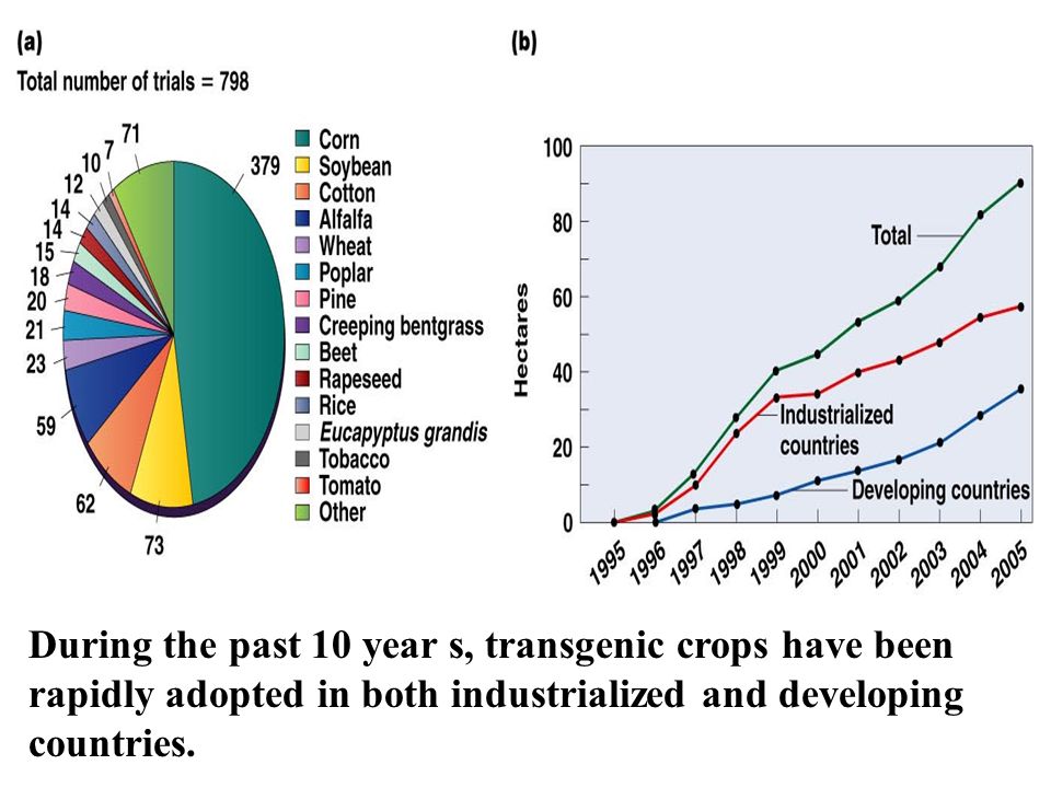 During the past 10 year s, transgenic crops have been rapidly adopted in both industrialized and developing countries.