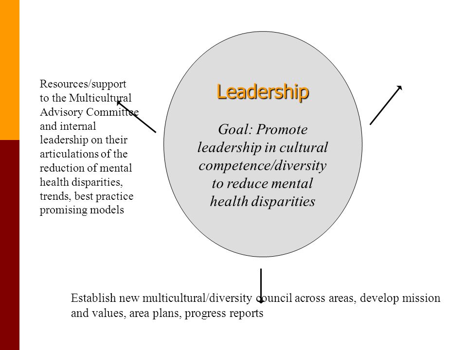 Leadership Goal: Promote leadership in cultural competence/diversity to reduce mental health disparities Resources/support to the Multicultural Advisory Committee and internal leadership on their articulations of the reduction of mental health disparities, trends, best practice promising models Establish new multicultural/diversity council across areas, develop mission and values, area plans, progress reports