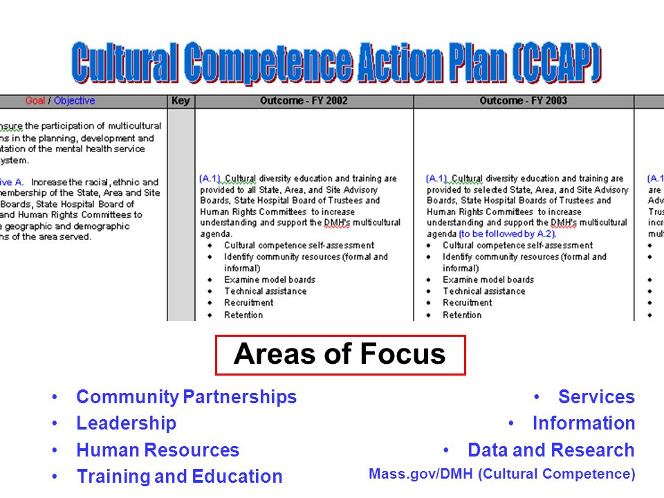 Community Partnerships Leadership Human Resources Training and Education Services Information Data and Research Mass.gov/DMH (Cultural Competence) Areas of Focus