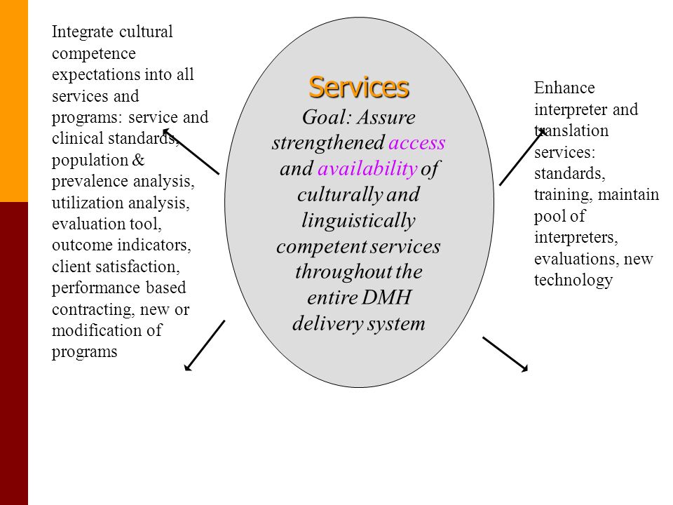 Services Goal: Assure strengthened access and availability of culturally and linguistically competent services throughout the entire DMH delivery system Enhance interpreter and translation services: standards, training, maintain pool of interpreters, evaluations, new technology Integrate cultural competence expectations into all services and programs: service and clinical standards, population & prevalence analysis, utilization analysis, evaluation tool, outcome indicators, client satisfaction, performance based contracting, new or modification of programs