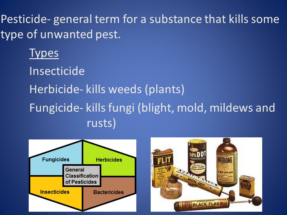 Pesticide- general term for a substance that kills some type of unwanted pest.