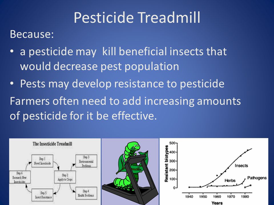 Pesticide Treadmill Because: a pesticide may kill beneficial insects that would decrease pest population Pests may develop resistance to pesticide Farmers often need to add increasing amounts of pesticide for it be effective.